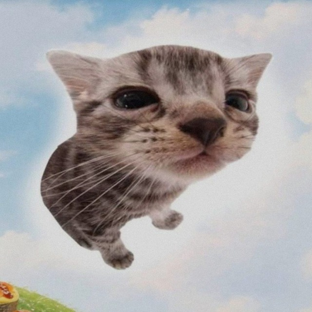 Моя фотография
